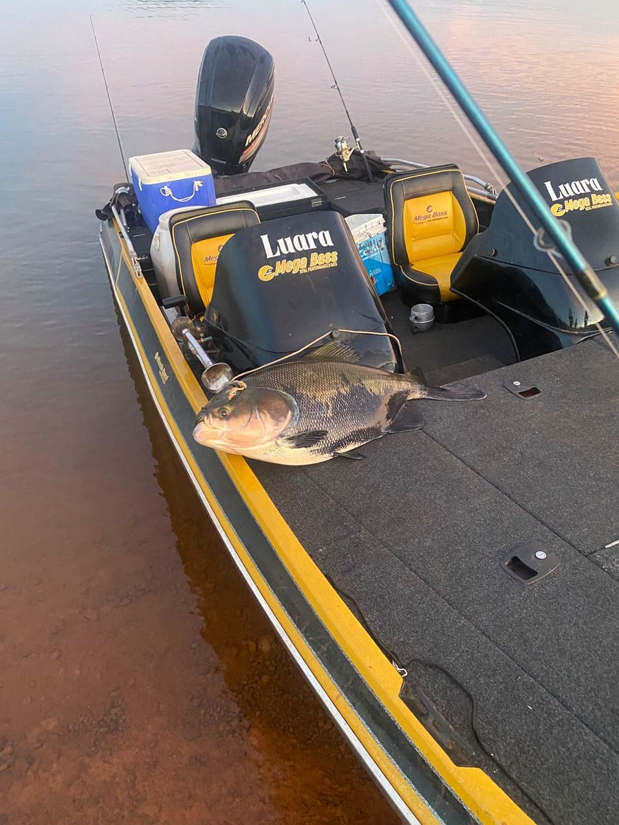 Peixe no convés do barco com a água do lago ao amanhecer